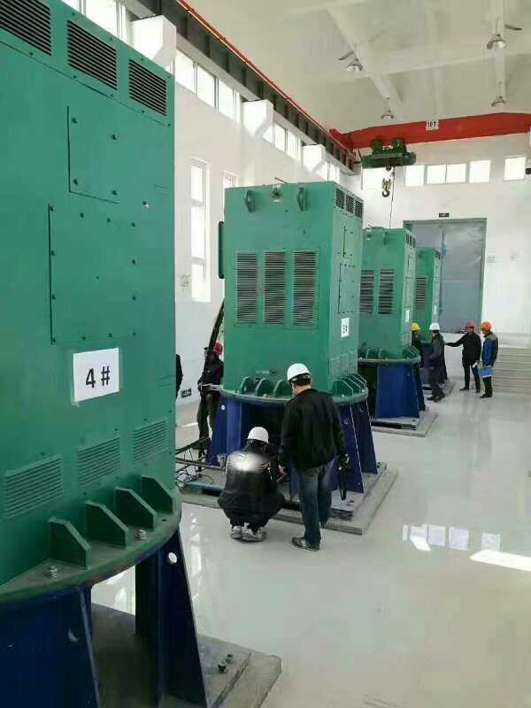 二连浩特某污水处理厂使用我厂的立式高压电机安装现场